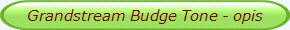 Grandstream Budge Tone - opis